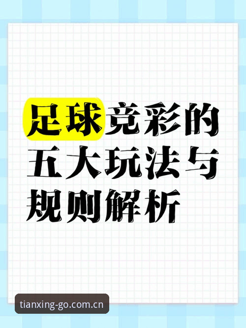 最新国内体育直播平台天行体育全面解析：从下载体验到竞彩玩法详解